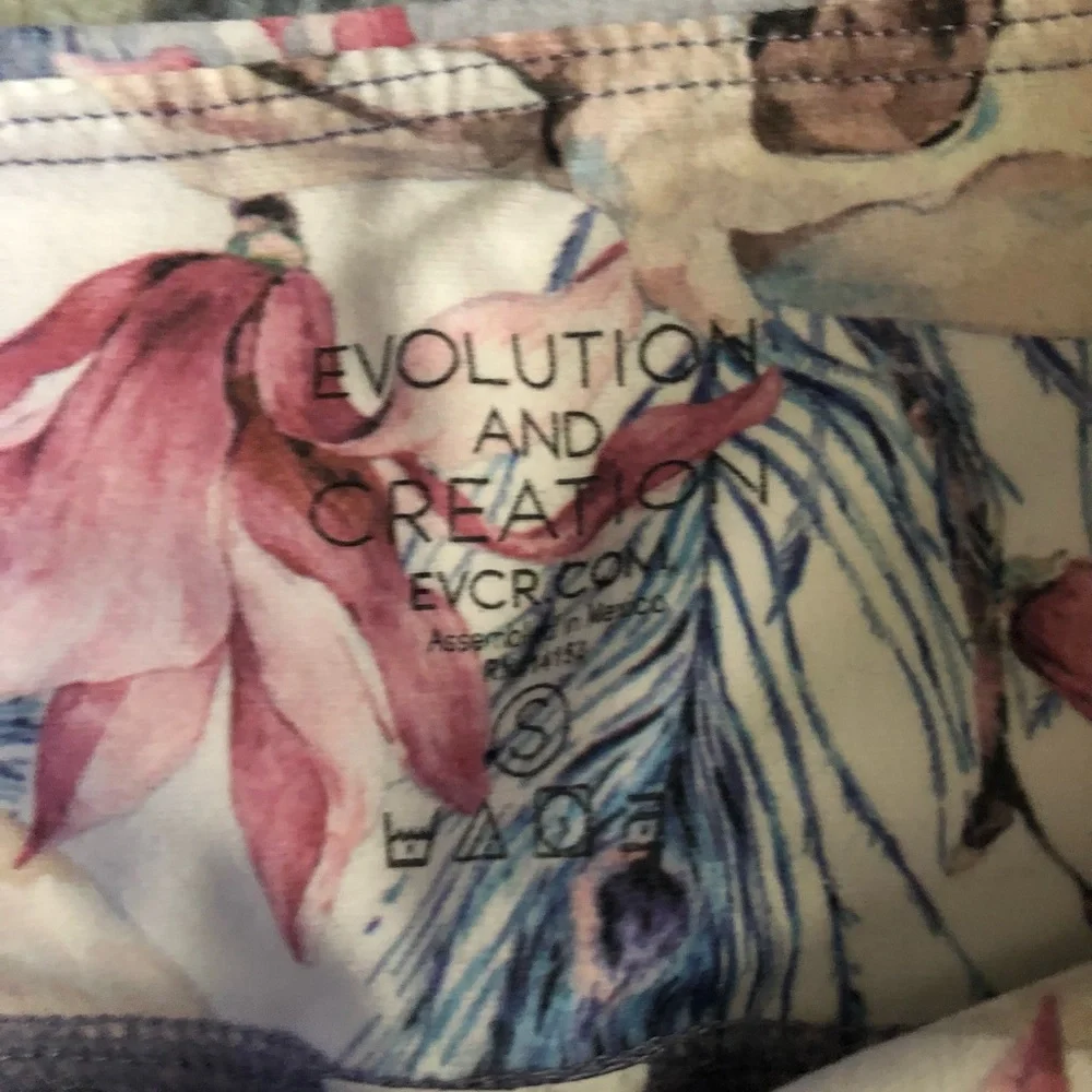Evolution and creation - Picture 2 of 3